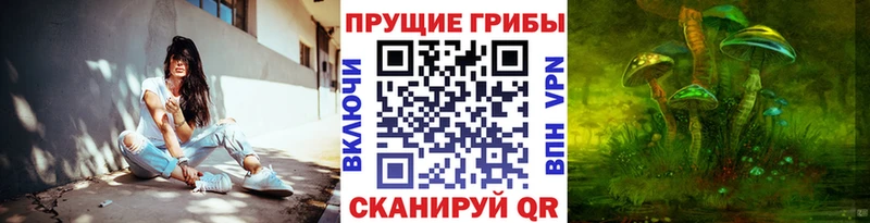 Галлюциногенные грибы Magic Shrooms  Купить  Циолковский 